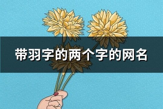 带羽字的两个字的网名(精选33个)