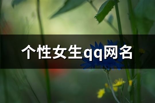 个性女生qq网名(精选259个)
