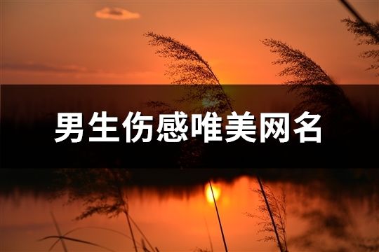 男生伤感唯美网名(共951个)