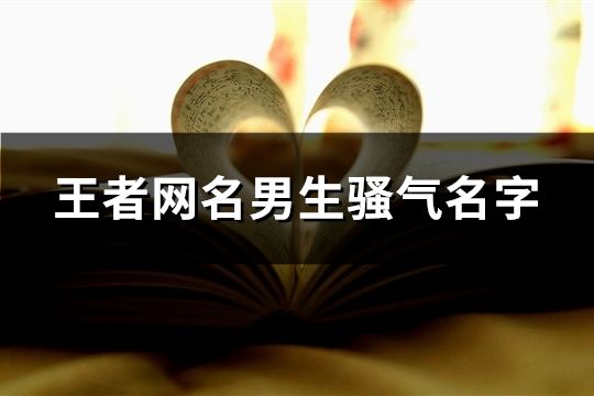 王者网名男生骚气名字(共66个)