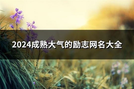 2024成熟大气的励志网名大全(共183个)