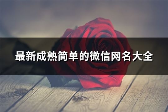 最新成熟简单的微信网名大全(精选71个)