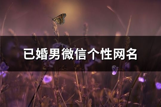 已婚男微信个性网名(精选256个)