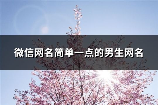 微信网名简单一点的男生网名(246个)