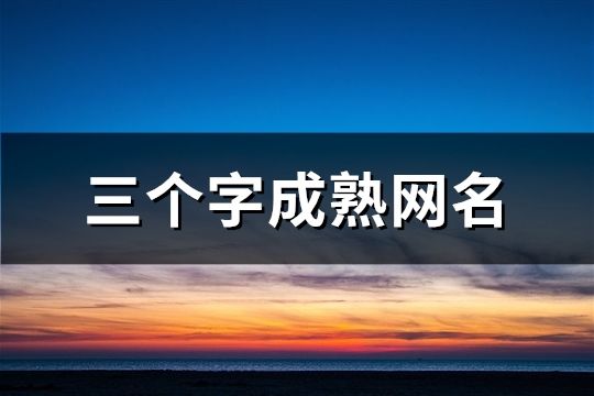 三个字成熟网名(66个)