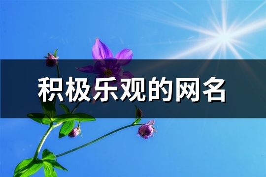 积极乐观的网名(共114个)