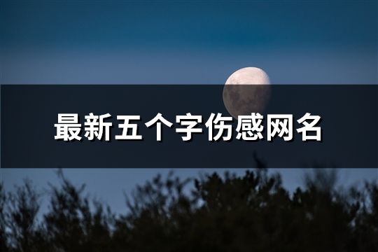 最新五个字伤感网名(110个)