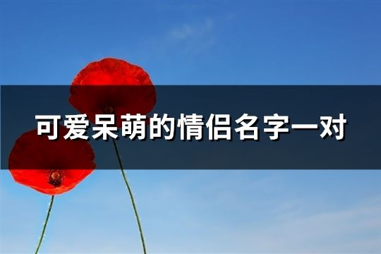 可爱呆萌的情侣名字一对(精选237个)