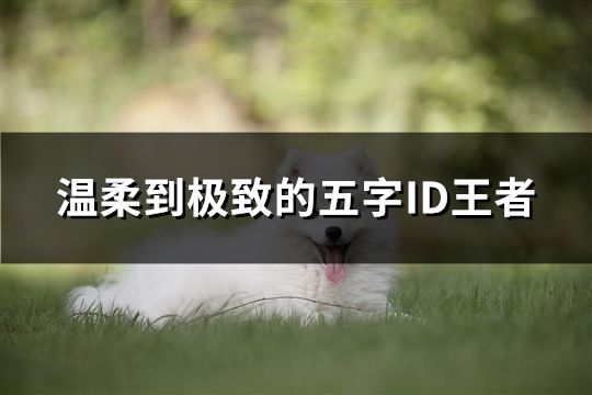 温柔到极致的五字ID王者(666个)