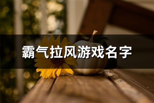 霸气拉风游戏名字(共885个)