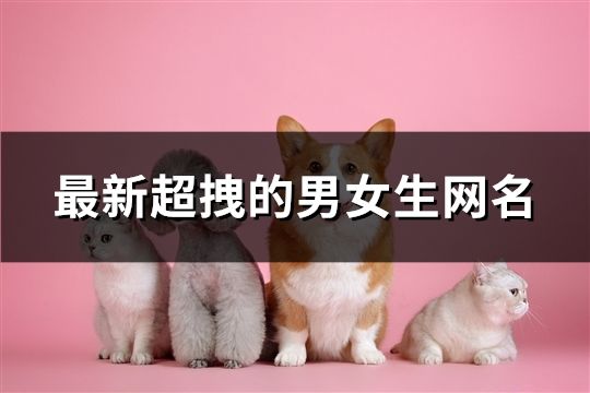最新超拽的男女生网名(110个)