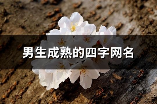 男生成熟的四字网名(248个)