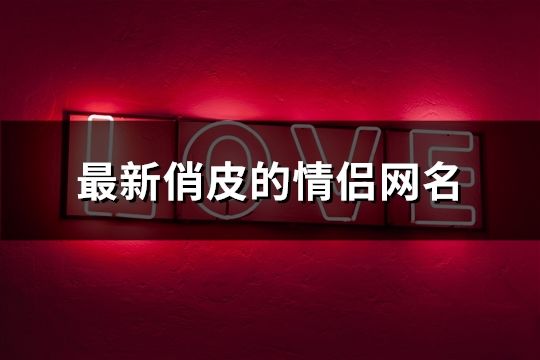 最新俏皮的情侣网名(200个)