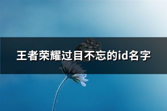 王者荣耀过目不忘的id名字(精选315个)