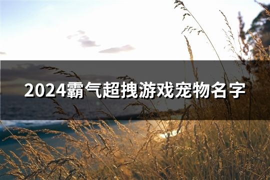 2024霸气超拽游戏宠物名字(586个) 2024霸气超拽游戏宠物名字(586个)