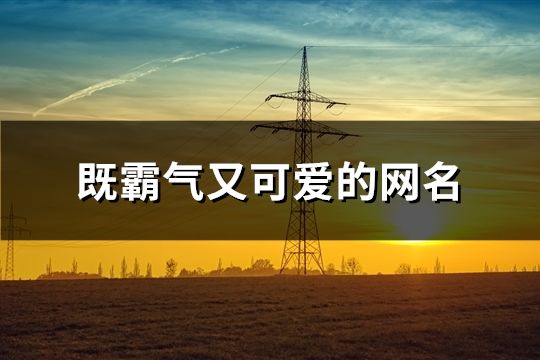 既霸气又可爱的网名(113个)
