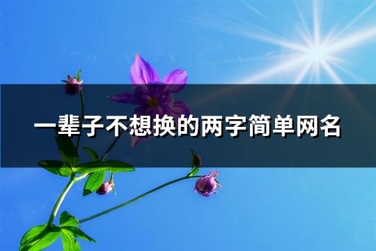 一辈子不想换的两字简单网名(精选175个)