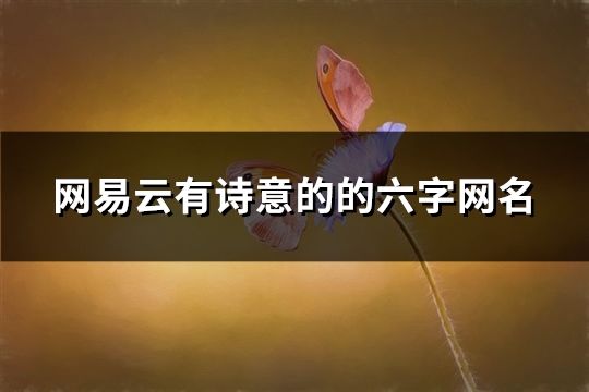 网易云有诗意的的六字网名(964个)