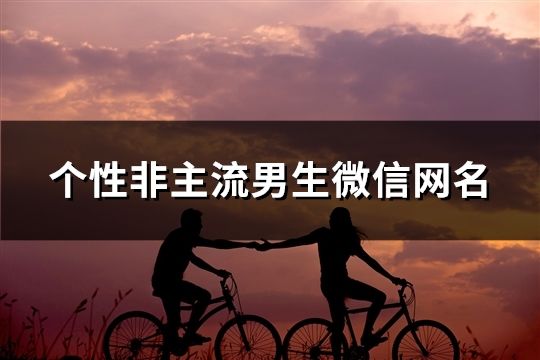 个性非主流男生微信网名(331个)
