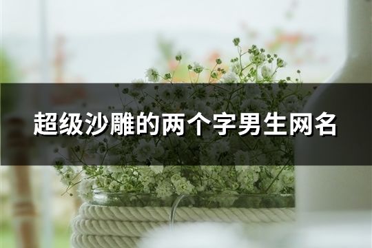 超级沙雕的两个字男生网名(共1700个)