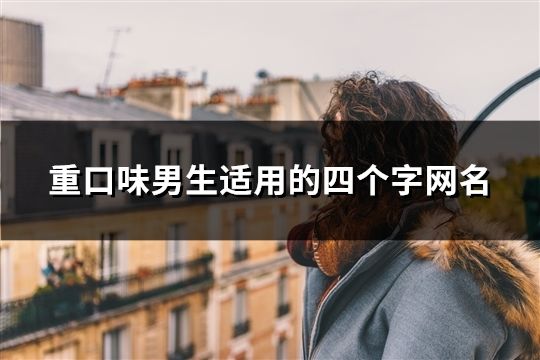 重口味男生适用的四个字网名(共1105个)