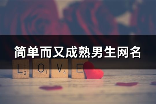 简单而又成熟男生网名(精选1330个)