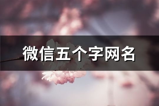 微信五个字网名(共282个)