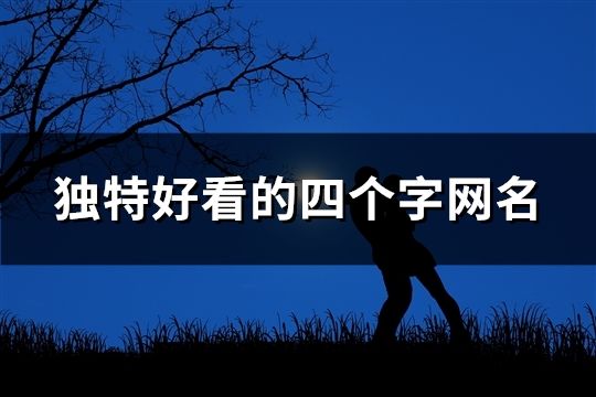 独特好看的四个字网名(精选1919个)