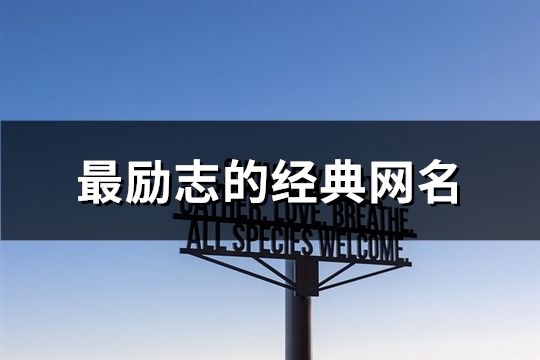 最励志的经典网名(278个)