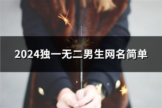 2024独一无二男生网名简单(279个)