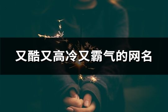 又酷又高冷又霸气的网名(共38个) 又酷又高冷又霸气的网名(共38个)