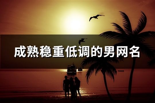 成熟稳重低调的男网名(精选1501个)