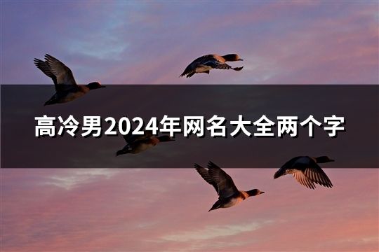 高冷男2024年网名大全两个字(38个)