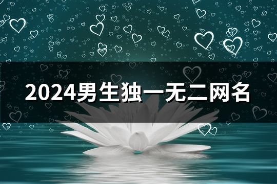 2024男生独一无二网名(1352个)