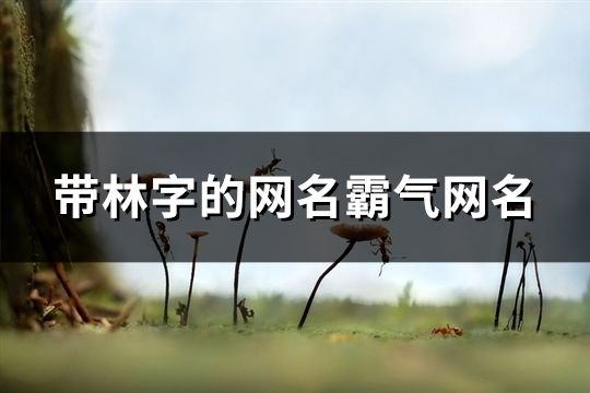 带林字的网名霸气网名(精选104个) 带林字的网名霸气网名(精选104个)