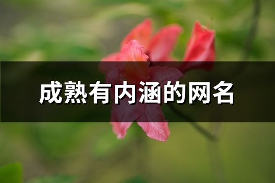 成熟有内涵的网名(共647个)