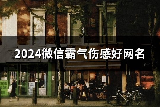 2024微信霸气伤感好网名(精选1379个)