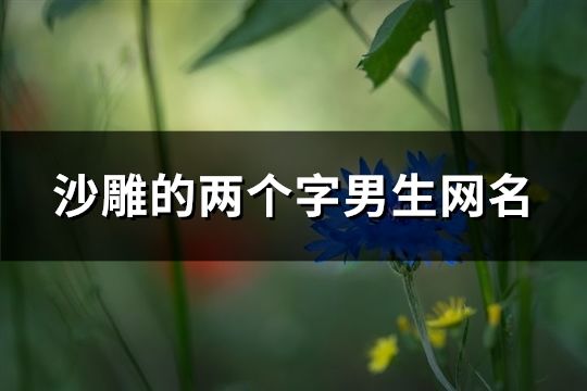 沙雕的两个字男生网名(精选1713个)