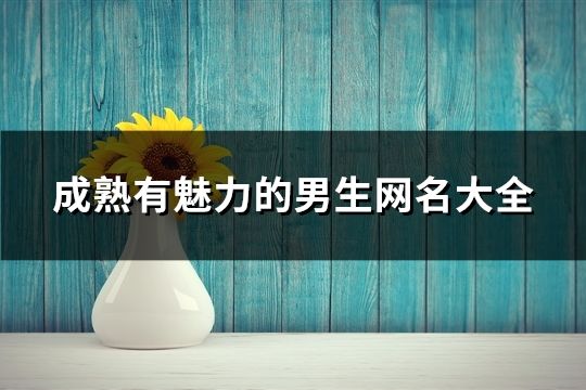 成熟有魅力的男生网名大全(共1655个)