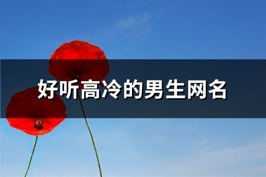 好听高冷的男生网名(168个)