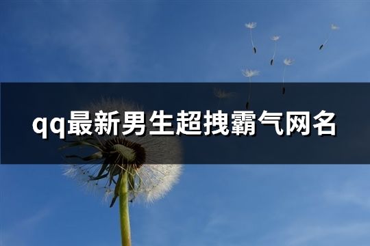 qq最新男生超拽霸气网名(精选767个)