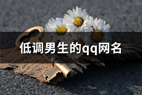 低调男生的qq网名(精选502个)