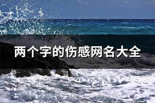 两个字的伤感网名大全(1261个)