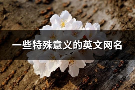 一些特殊意义的英文网名(精选114个)