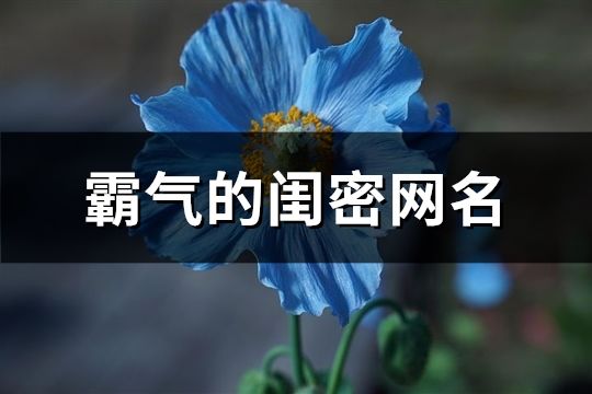 霸气的闺密网名(精选176个)