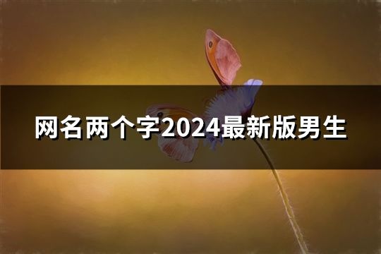 网名两个字2024最新版男生(39个)