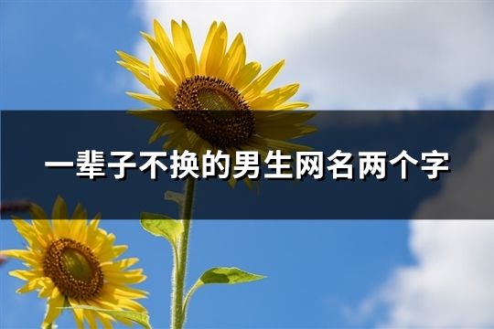 一辈子不换的男生网名两个字(32个)