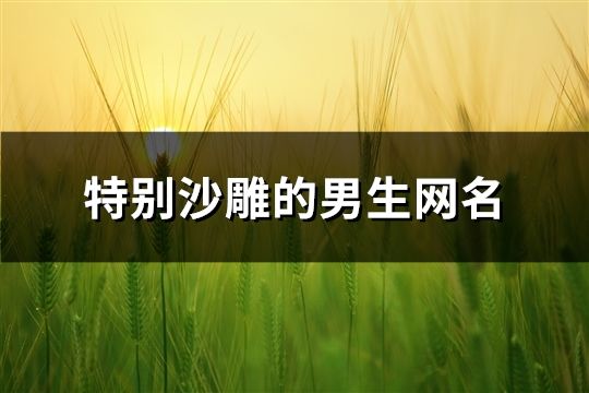 特别沙雕的男生网名(716个)