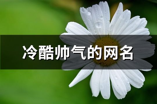 冷酷帅气的网名(精选701个)