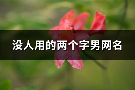 没人用的两个字男网名(1264个)